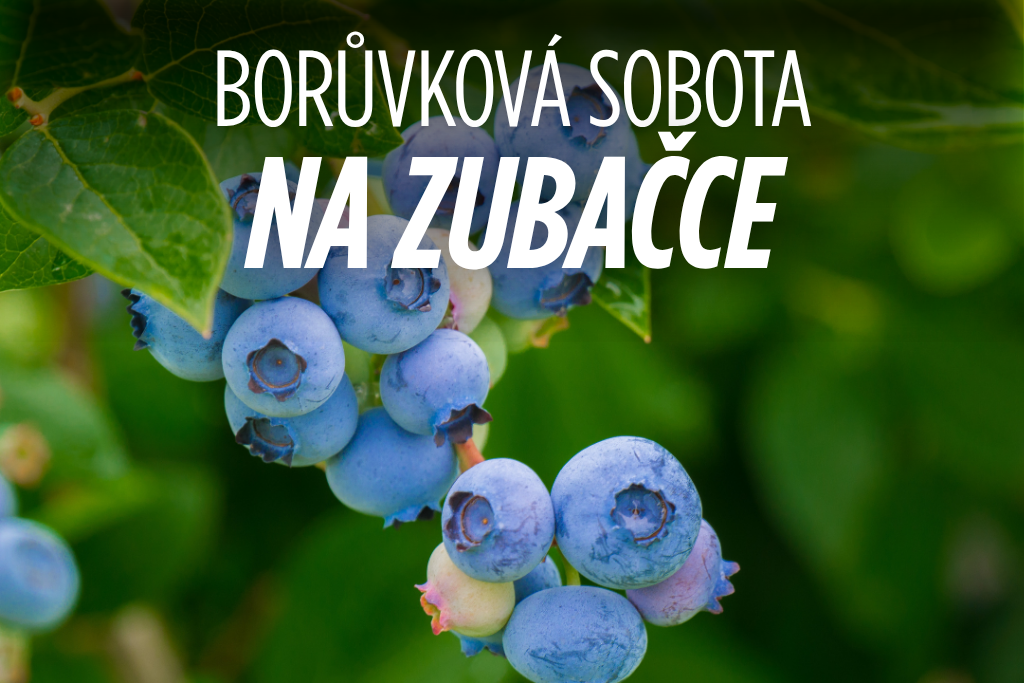 Borůvková sobota na Zubačce 16. srpna